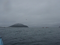 12 - Parasail in front of Yacaba Head - JP-PC280006